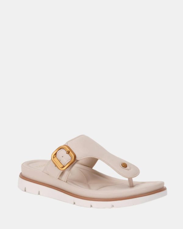 Attireaxis.shop30554d113e 2