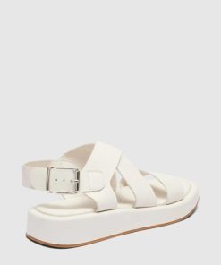 Attireaxis.shop385f9fd984 3