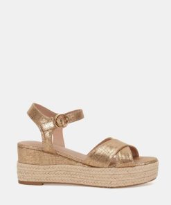 Attireaxis.shop39c5a3db4a 1