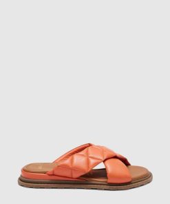 Attireaxis.shop7c60f476f6 1