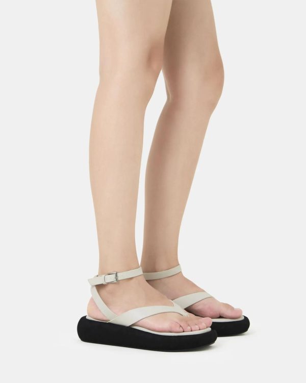 Attireaxis.shopd51b7da88a 2