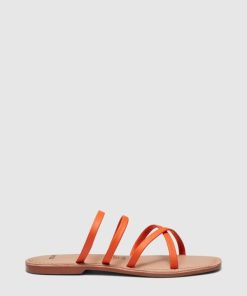 Attireaxis.shopd70f784031 1