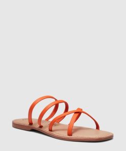 Attireaxis.shopd70f784031 2