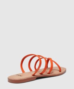 Attireaxis.shopd70f784031 3